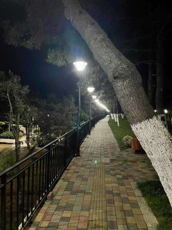 ホテル New House Kobuleti 2 エクステリア 写真